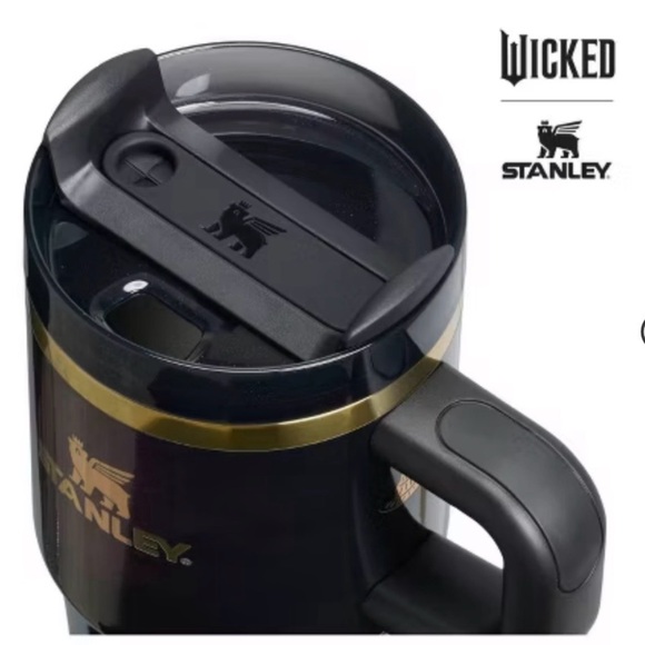 Stanley 20 oz. WICKED Elphaba for good. - Picture 4 of 5